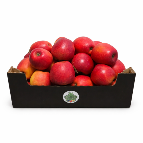 Jabłko Gala 5 i 10kg.png