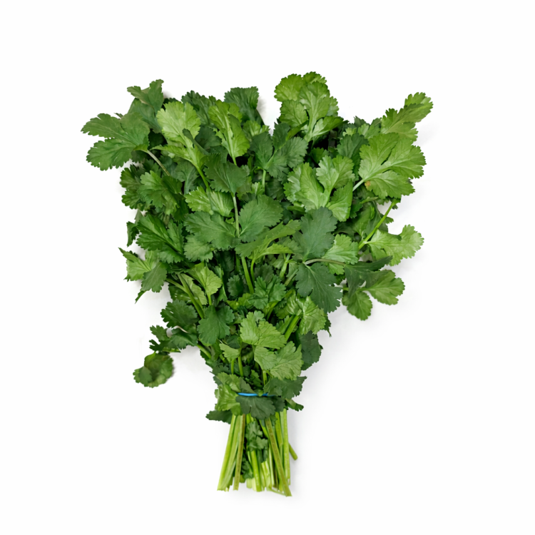 Kolendra.png
