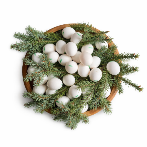 jajeczna sielanka.png